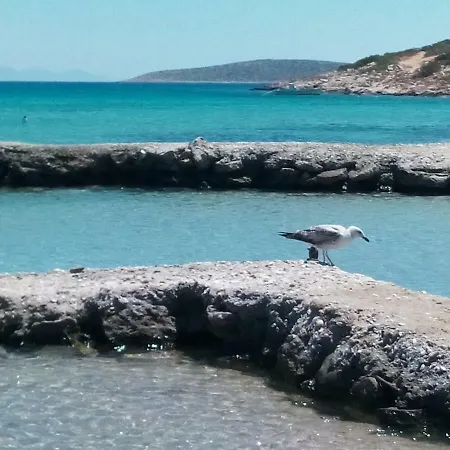 Traditional Tiny House * Angeriá
