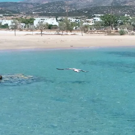 Nyaraló Traditional Tiny House