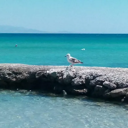 Traditional Tiny House Angeriá