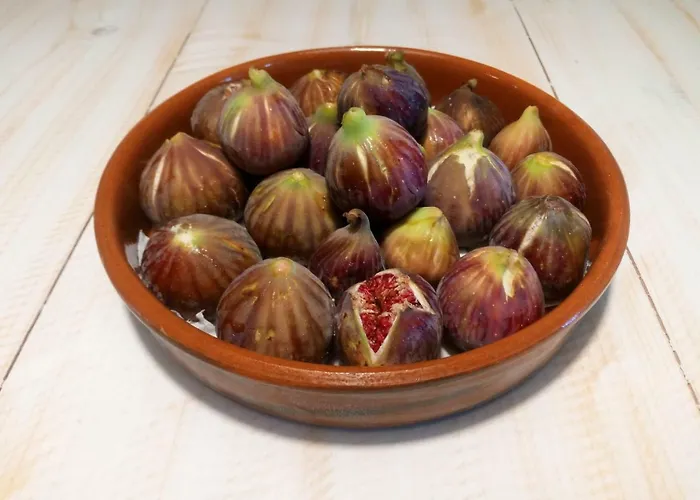 Casa de Férias Traditional Tiny House Angairiá