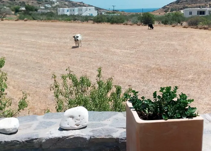 Traditional Tiny House * Angairiá