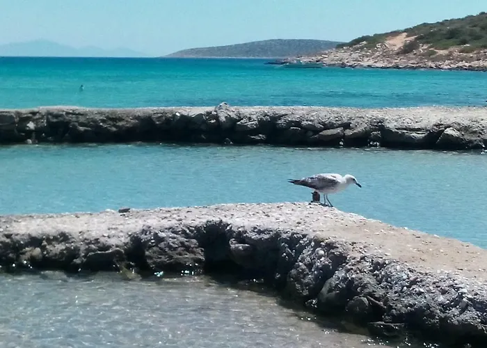 Traditional Tiny House * Angairiá