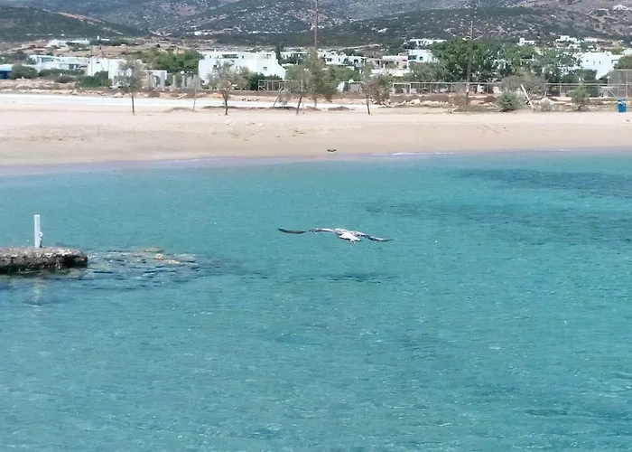 Casa de Férias Traditional Tiny House