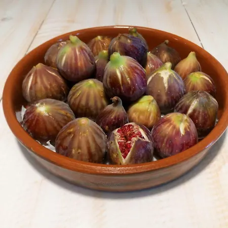 Hébergement de vacances Traditional Tiny House Angairiá