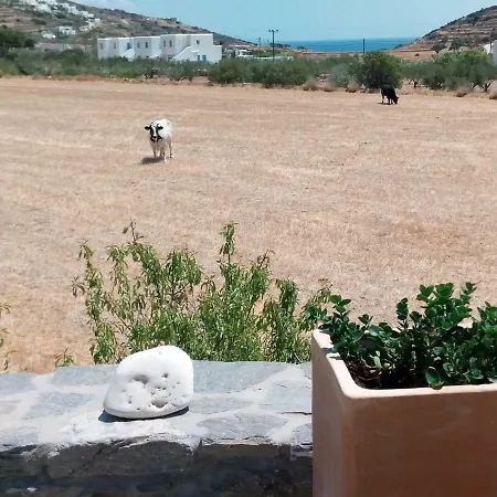 Traditional Tiny House * Angairiá