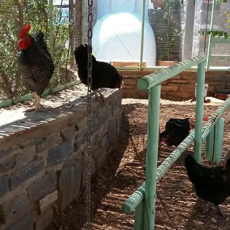 Traditional Tiny House Angairiá