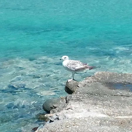Hébergement de vacances Traditional Tiny House Angairiá