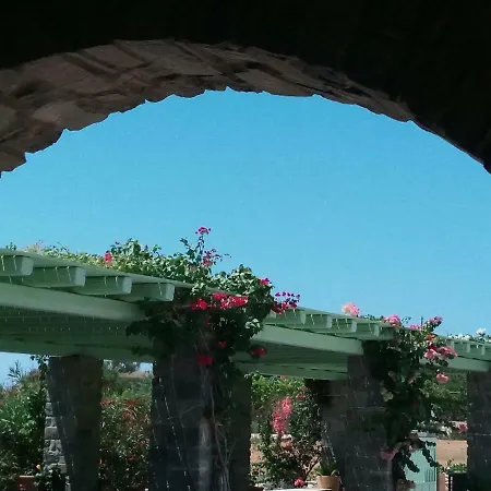 Traditional Tiny House Hébergement de vacances