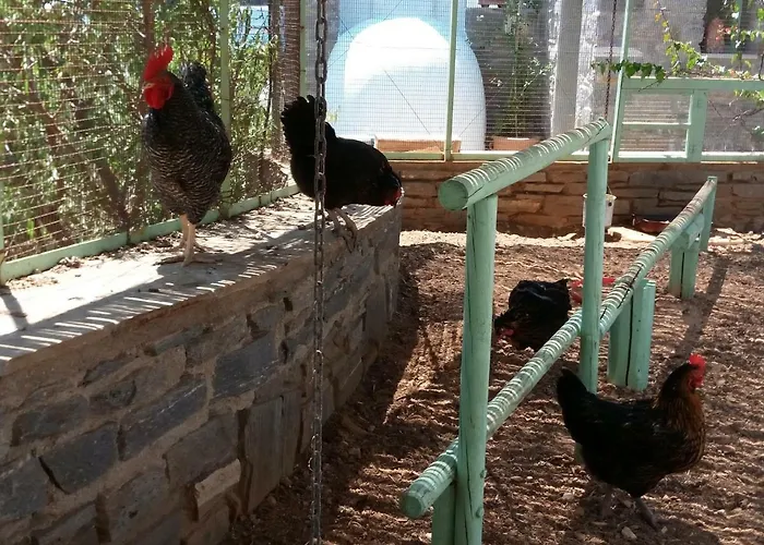 Traditional Tiny House Angairia