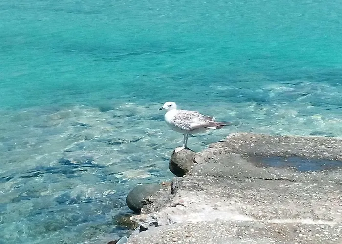 Holiday home Traditional Tiny House Angairia