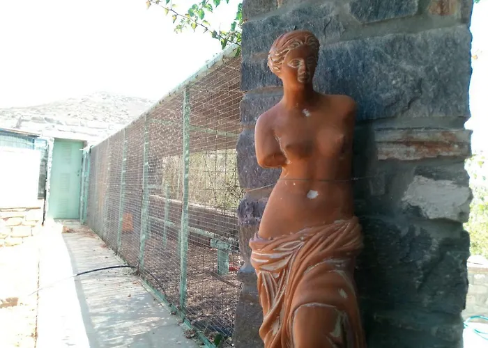 Traditional Tiny House *