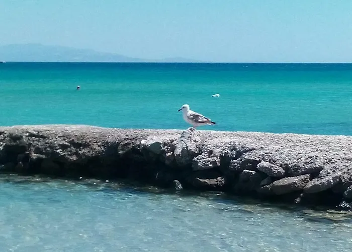 Traditional Tiny House Angairia